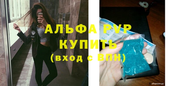 СК Зерноград