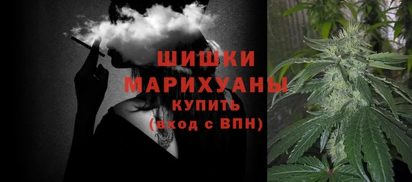 СК Зерноград